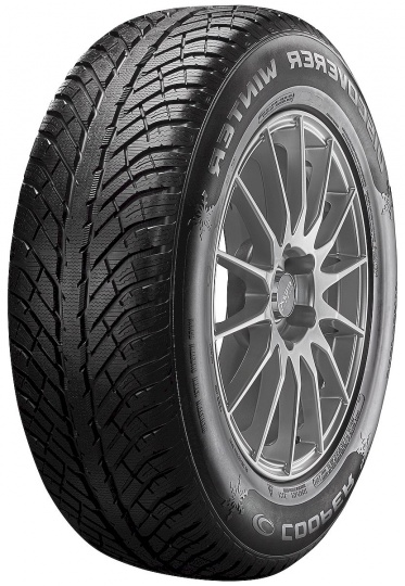 COOPER DISCOVERER WINTER 205/55 R16 94 V Zimné